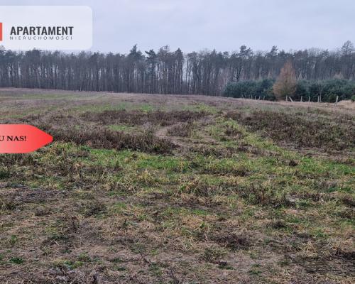 Działka budowlana ze ścianą lasu