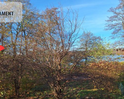 Pięknie położona działka przy jeziorze- Dobiegniew