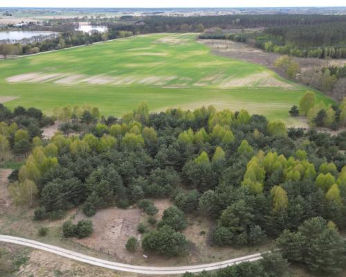 Bory Tucholskie – działka 1195 mkw pod budowę domu