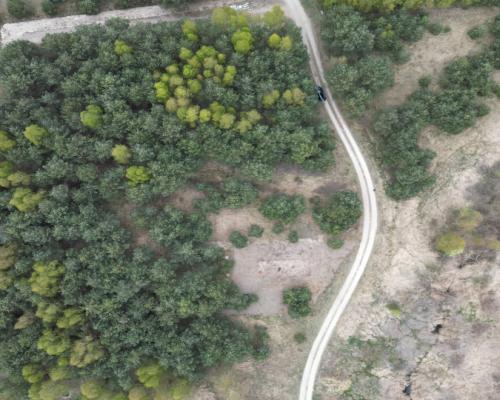Bory Tucholskie – działka 1195 mkw pod budowę domu