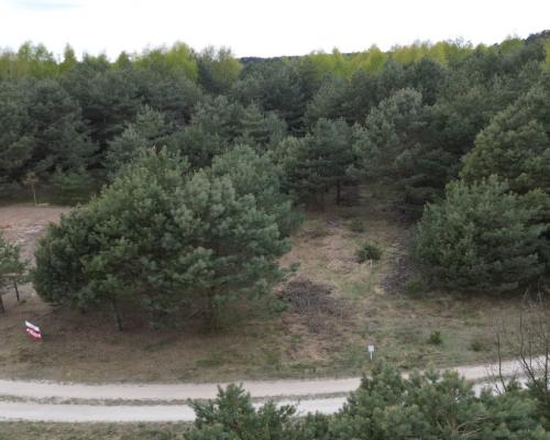 Bory Tucholskie – działka 1195 mkw pod budowę domu