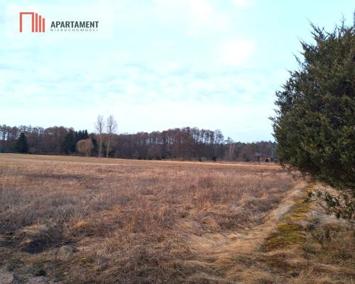 Kornelin: Gotowa Działka 1500m2 z Projektem