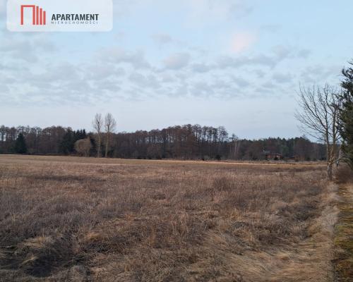 Kornelin: Gotowa Działka 1500m2 z Projektem