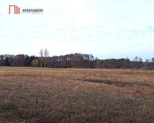 Kornelin: Gotowa Działka 1500m2 z Projektem
