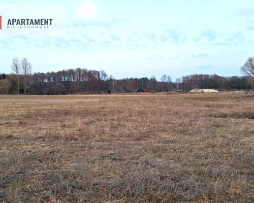 Kornelin: Gotowa Działka 1500m2 z Projektem