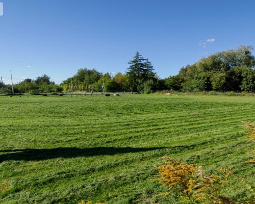 Działka Inwestycyjna, WZ Mieszkalno-Usługowe