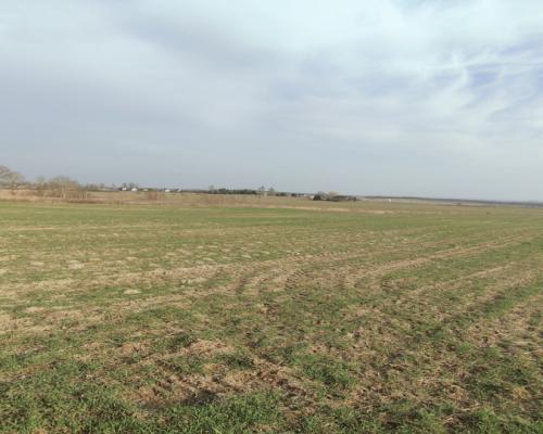 Obniżka CENY! Działka rolna w dobrej LOKALIZACJI!!