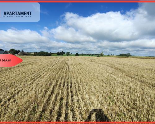 TYLKO U NAS! DZIAŁKA Z WARUNKAMI ZABUDOWY, MEDIA!