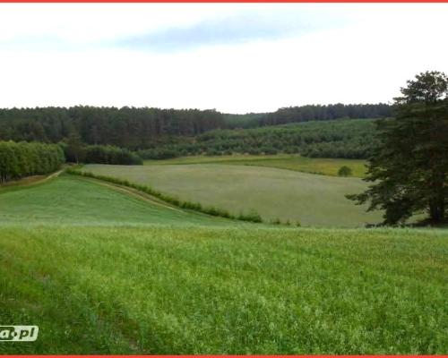 Tylko u Nas! Wyjątkowe działki z WZ-Tuszkowy