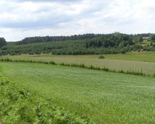Tylko u Nas! Wyjątkowe działki z WZ-Tuszkowy