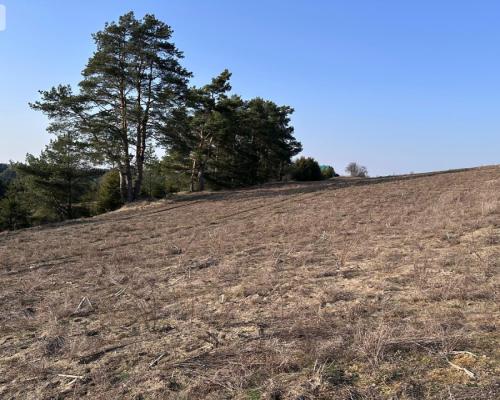 Tylko u Nas! Wyjątkowe działki z WZ-Tuszkowy