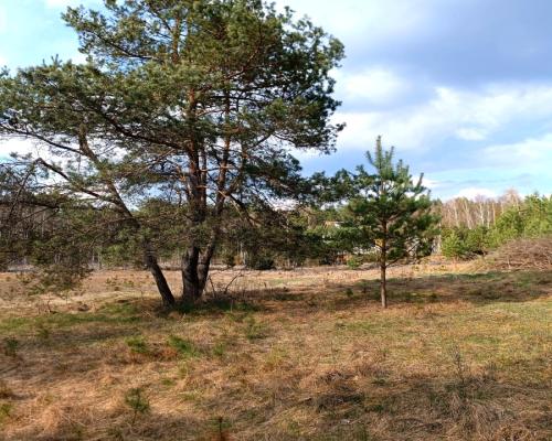 Tylko u nas! Działka-cisza, natura i potencjał!