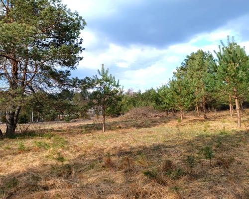 Tylko u nas! Działka-cisza, natura i potencjał!