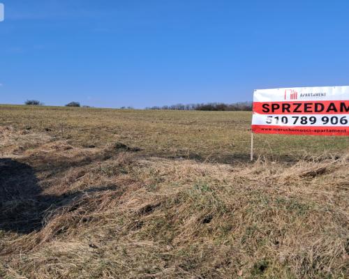 Działki z WZ - Zielonczyn