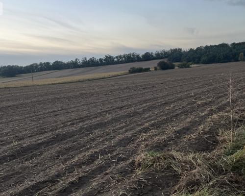 Działki z WZ - Zielonczyn