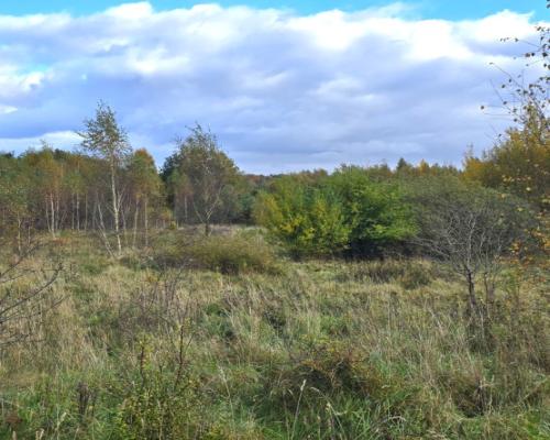 Tylko u Nas! Działki budowlane Z MPZP– Mierzeszyn