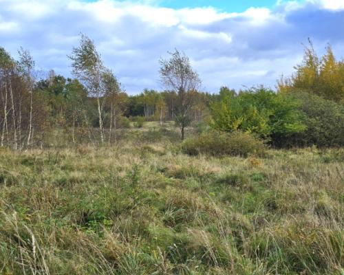 Tylko u Nas! Działki budowlane Z MPZP– Mierzeszyn