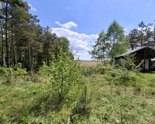 Piękna działka na Kaszubach z warunkami zabudowy