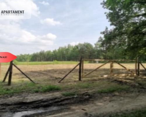 MPZP/1222 m2 z widokiem na las!
