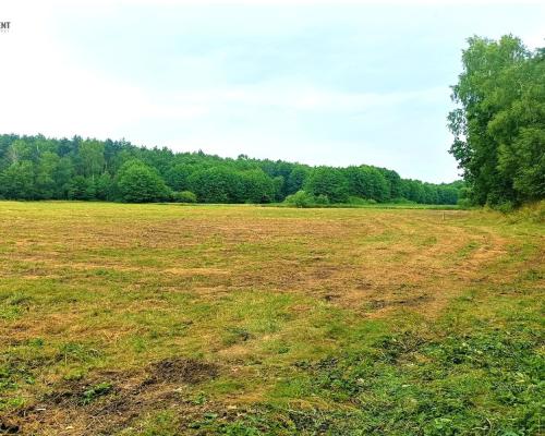 TYLKO U NAS - PAWŁÓWEK 1,8ha LAS CISZA SPOKÓJ