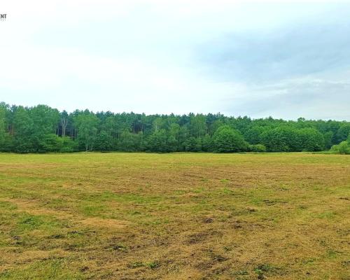 TYLKO U NAS - PAWŁÓWEK 1,8ha LAS CISZA SPOKÓJ
