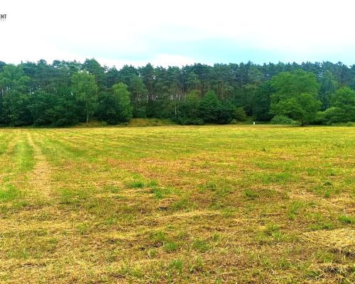 TYLKO U NAS - PAWŁÓWEK 1,8ha LAS CISZA SPOKÓJ