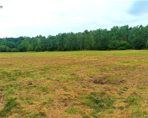 TYLKO U NAS - PAWŁÓWEK 1,8ha LAS CISZA SPOKÓJ