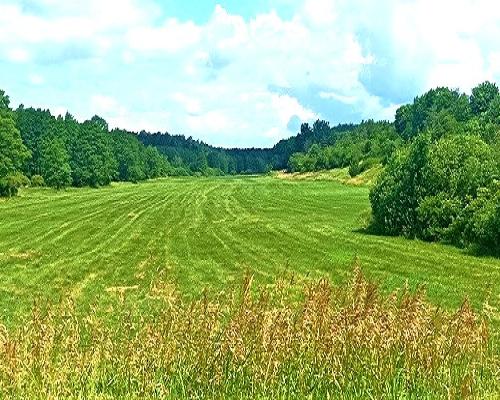 TYLKO U NAS - PAWŁÓWEK 1,8ha LAS CISZA SPOKÓJ