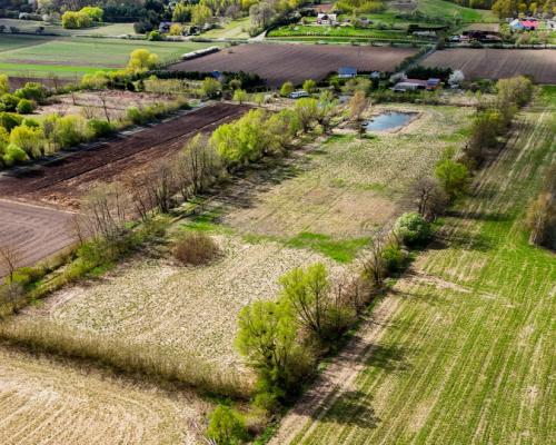 Tylko u nas! Działka 1,5ha, staw, pomost, WZ