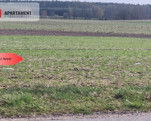 Działki budowlane z WZ w ładnej okolicy
