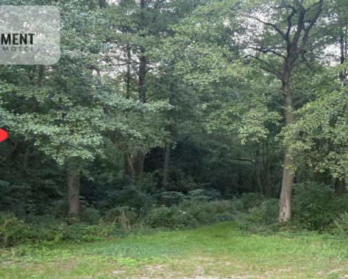 Działka blisko jeziora ,las, 3300m2