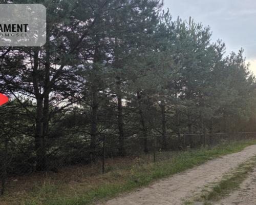 Działka blisko jeziora ,las, 3300m2