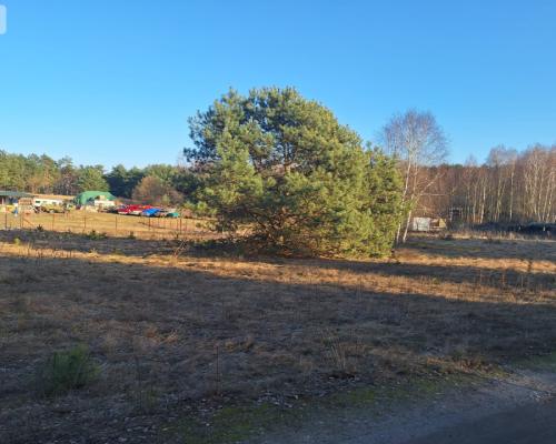 Działki 1385 m² i 1926 m² w leśnej otulinie z WZ
