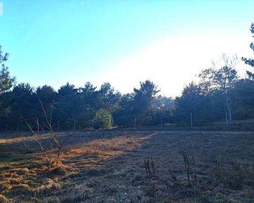 Działki 1385 m² i 1926 m² w leśnej otulinie z WZ