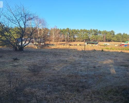 Działki 1385 m² i 1926 m² w leśnej otulinie z WZ