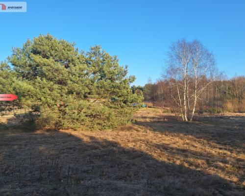Działki 1385 m² i 1926 m² w leśnej otulinie z WZ