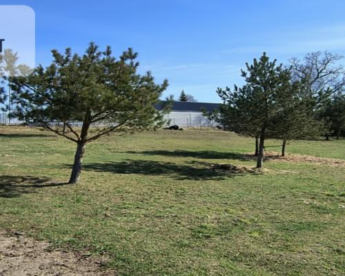 Działka 3000m2 przy DW221 - Lubań