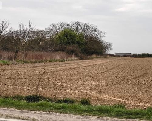 duża działka rolna przy A8