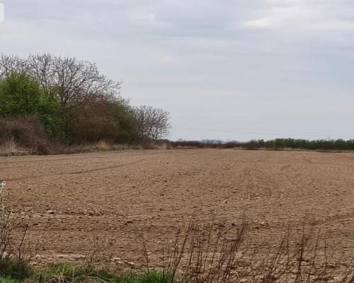 duża działka rolna przy A8