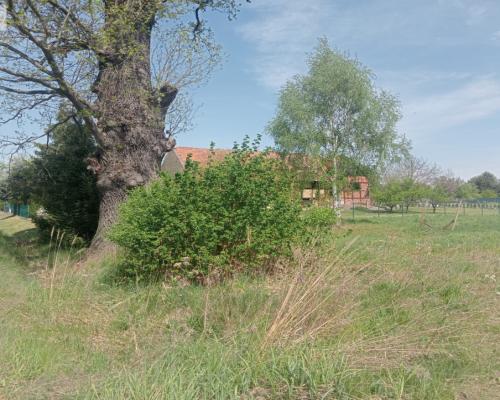 Działka budowlana z gotowym projektem na budowę.