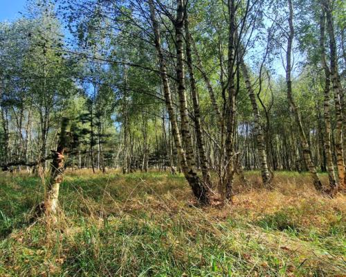 Nowa cena! Działki budowlane 15 minut od Gniezna