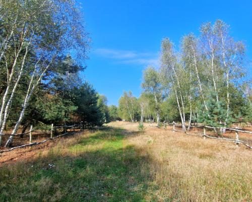 Nowa cena! Działki budowlane 15 minut od Gniezna