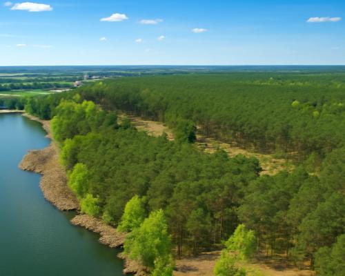 Działki z linią brzegową jeziora pod Toruniem