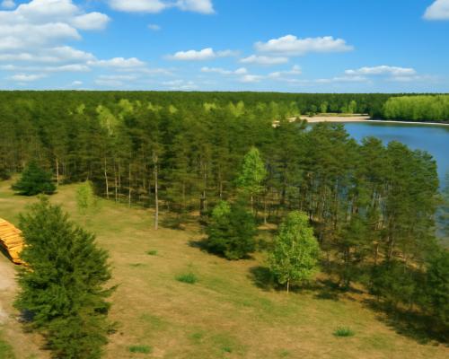 Działki z linią brzegową jeziora pod Toruniem
