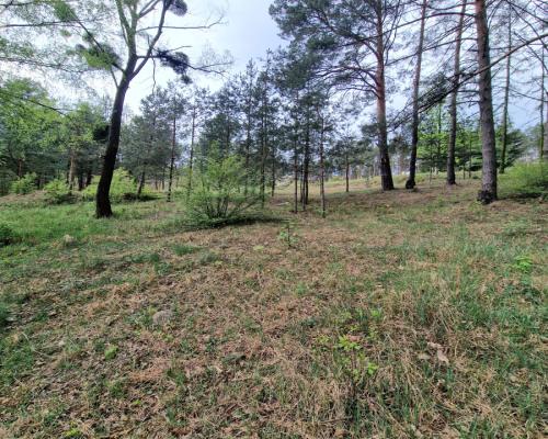 Działki z linią brzegową jeziora pod Toruniem