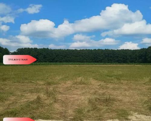 Piękna działka na Mazurach | 500m do jeziora