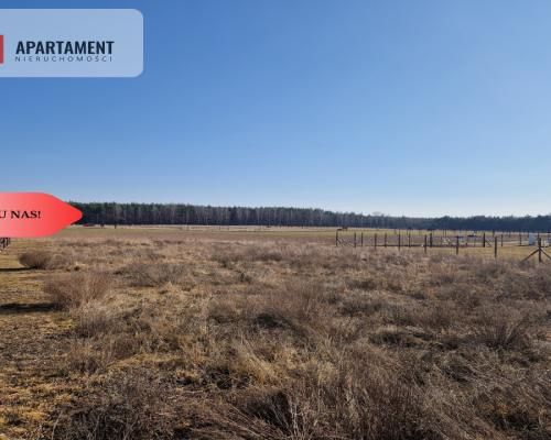 Działka budowlana niedaleko lasu i jeziora