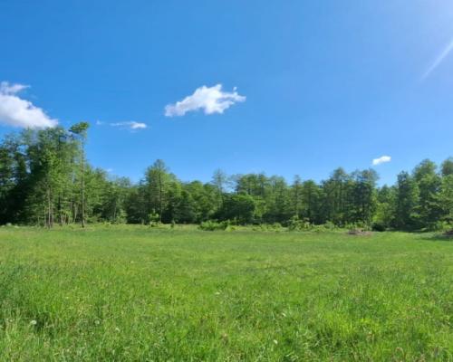 Uzbrojone działki budowlane –Załachowo