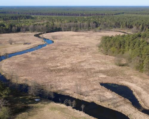 Działka 1,140 ha przy lesie Nad rzeką Wdą-Smolniki