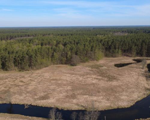 Działka 1,140 ha przy lesie Nad rzeką Wdą-Smolniki